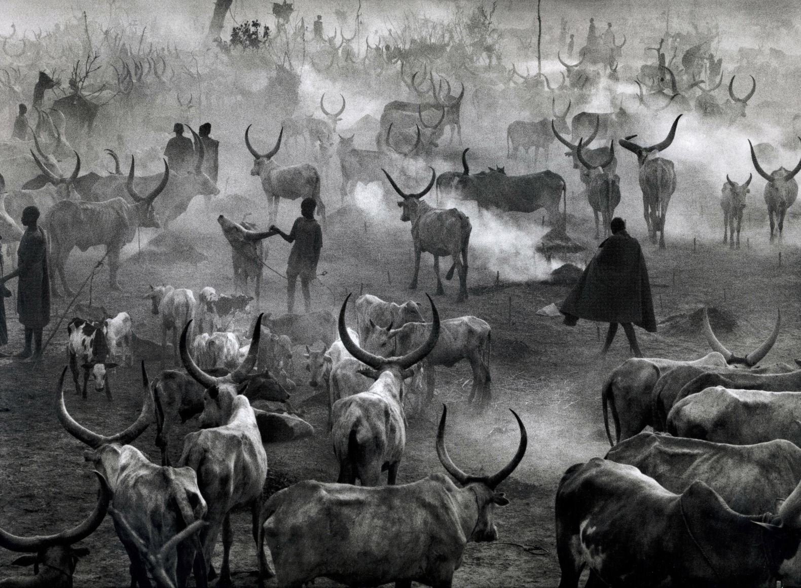Sebastião Salgado černobílá fotografie Sebastião Salgado investiční fotografie