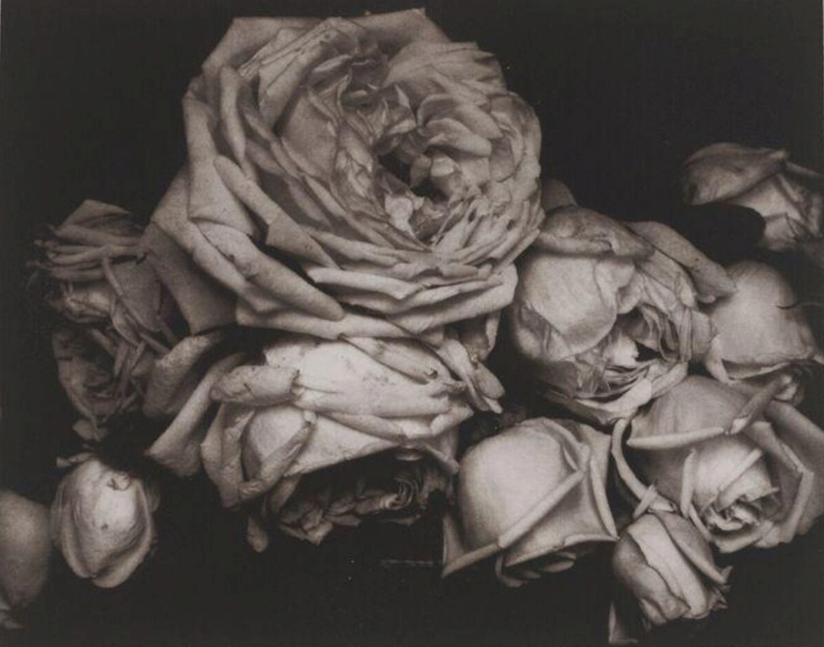 Edward Steichen (1879–1973) Fine art fotografie tisk
